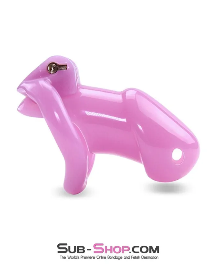 0396AE Sissy Bitch High Security Keyed Tumbler Locking Male Chastity with 4 Base Cock Ring Sizes MEGA Deal SubShop Bondage and Fetish Superstore Male Sex Toys
