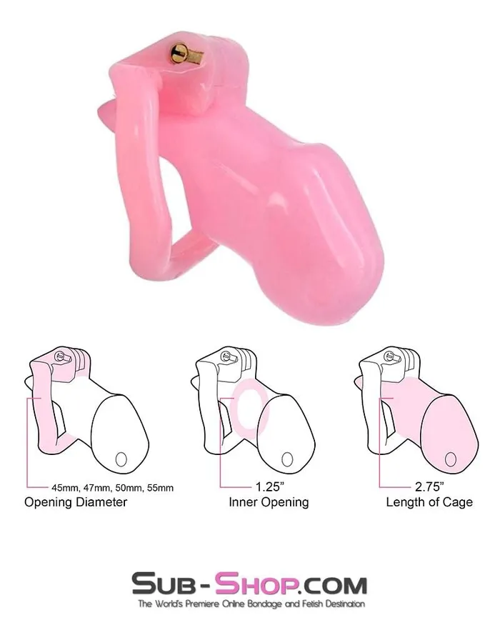 0396AE Sissy Bitch High Security Keyed Tumbler Locking Male Chastity with 4 Base Cock Ring Sizes MEGA Deal SubShop Bondage and Fetish Superstore Male Sex Toys