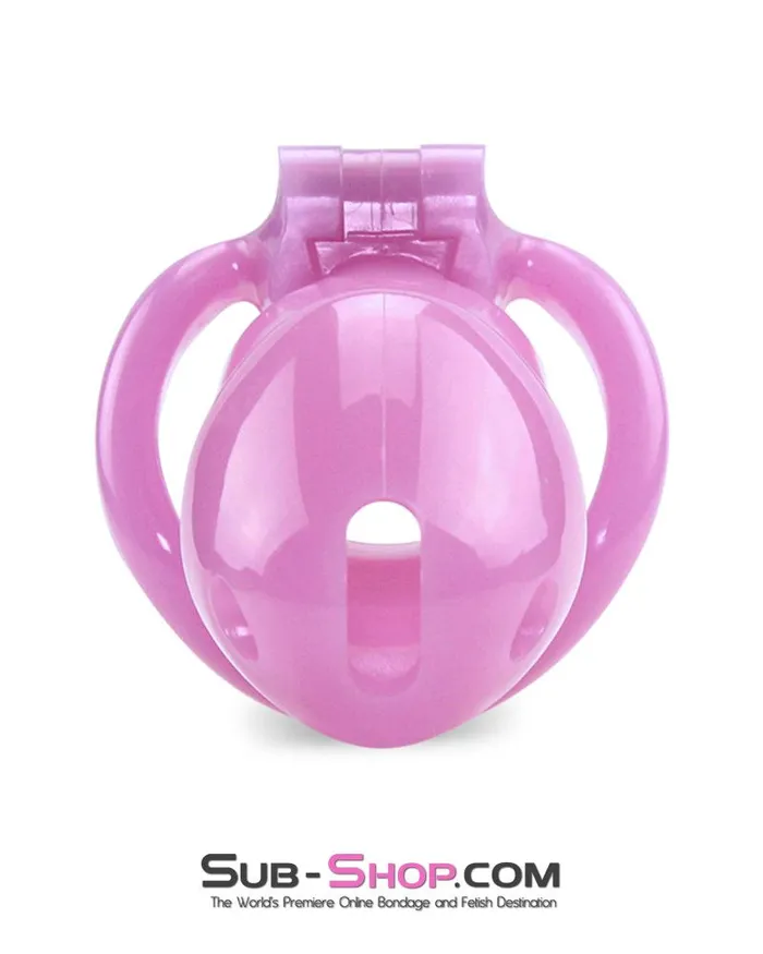0396AE Sissy Bitch High Security Keyed Tumbler Locking Male Chastity with 4 Base Cock Ring Sizes MEGA Deal SubShop Bondage and Fetish Superstore Male Sex Toys