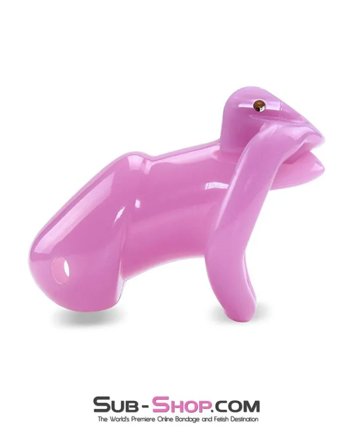 0396AE Sissy Bitch High Security Keyed Tumbler Locking Male Chastity with 4 Base Cock Ring Sizes MEGA Deal SubShop Bondage and Fetish Superstore Male Sex Toys