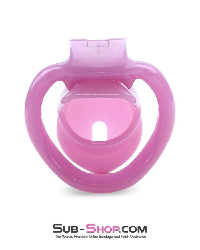 0396AE Sissy Bitch High Security Keyed Tumbler Locking Male Chastity with 4 Base Cock Ring Sizes MEGA Deal SubShop Bondage and Fetish Superstore Male Sex Toys