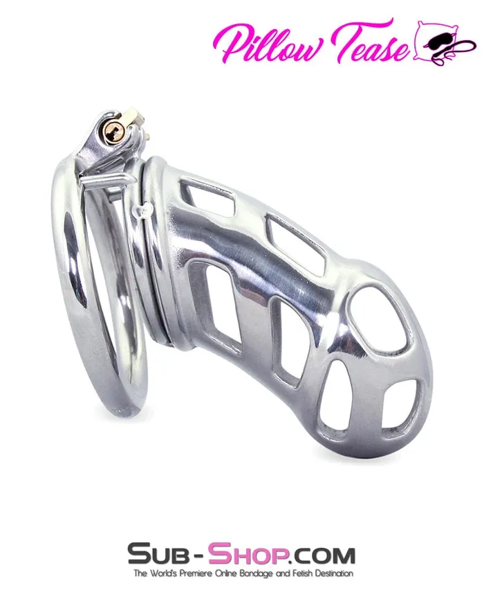 0795AR Hard Up Locking Steel Male Chastity Teasing Cage Aria Male Sex Toys 0795AR Hard Up Locking Steel Male Chastity Teasing Cage Aria Male Sex Toys