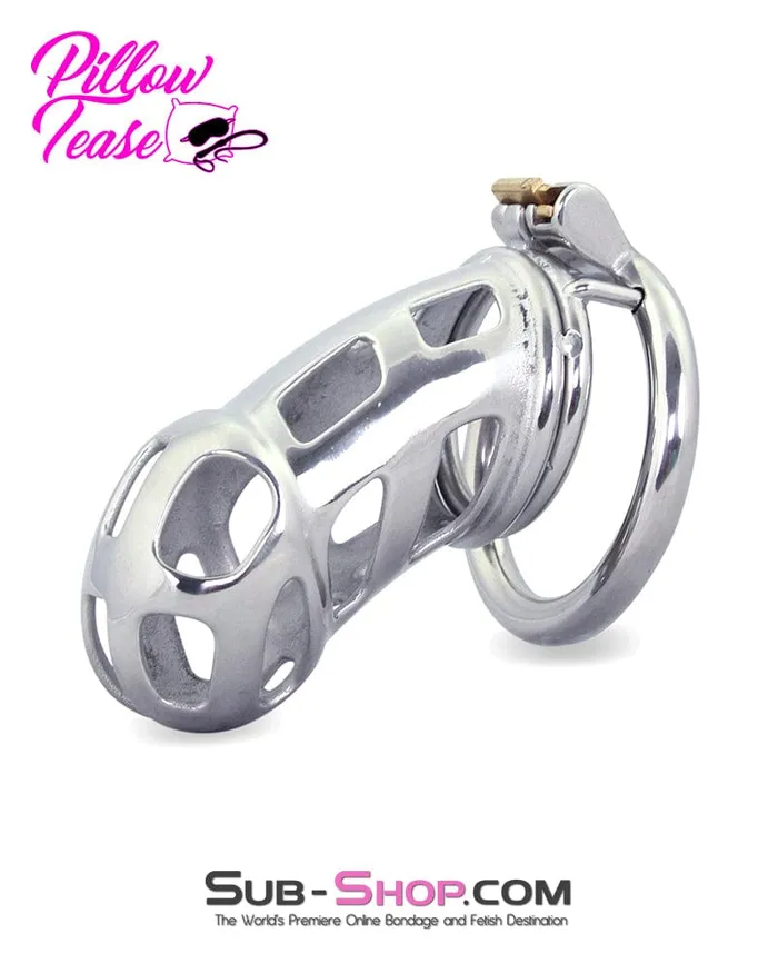 0795AR Hard Up Locking Steel Male Chastity Teasing Cage Aria Male Sex Toys