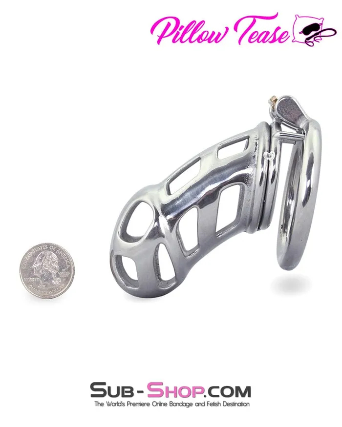0795AR Hard Up Locking Steel Male Chastity Teasing Cage Aria Male Sex Toys