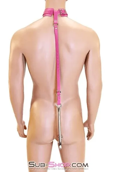 Male Sex Toys Autumn 7167ASIS Femme Sissy Slut Trainer Adjustable Anal Hook Trainer and Collar Set