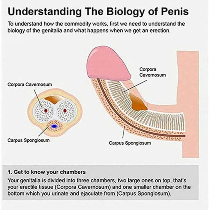 Male Sex Toys Electric Penis Enlargement Vacuum Pump For Penis Practice Weadultshop Male Sex Toys Electric Penis Enlargement Vacuum Pump For Penis Practice Weadultshop