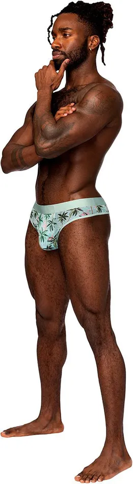 Male Sex Toys Male Power Sheer Print Sheer Thong Smallmedium Flamingo